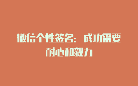 微信个性签名:成功需要耐心和毅力