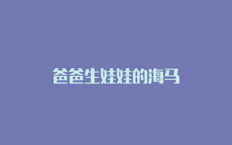 爸爸生娃娃的海马