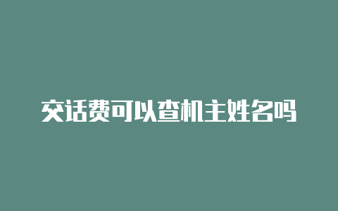 交话费可以查机主姓名吗