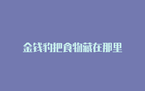 金钱豹把食物藏在那里