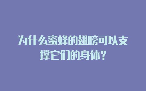 为什么蜜蜂的翅膀可以支撑它们的身体?
