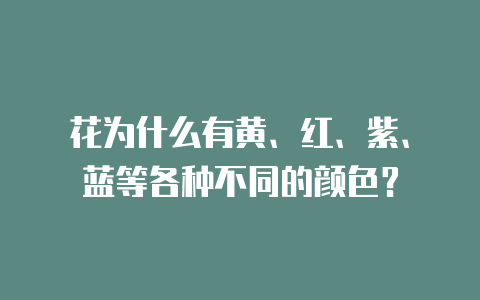 花为什么有黄、红、紫、蓝等各种不同的颜色?