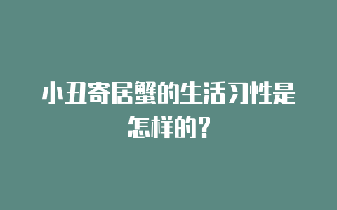 小丑寄居蟹的生活习性是怎样的?