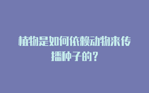 植物是如何依赖动物来传播种子的?